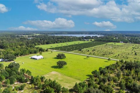 Terreno en venta en Umatilla, Florida № 1386625 - foto 4