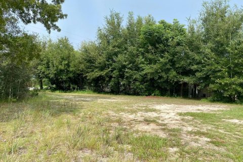 Terreno en venta en Summerfield, Florida № 1338931 - foto 4