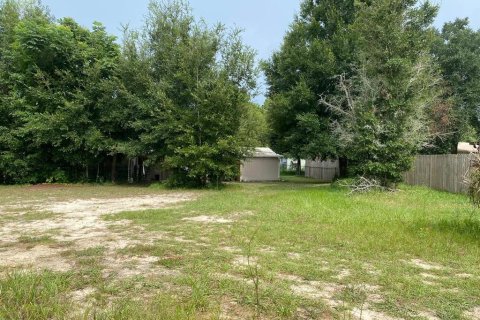 Terreno en venta en Summerfield, Florida № 1338931 - foto 7