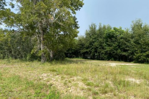 Terrain à vendre à Summerfield, Floride № 1338931 - photo 6