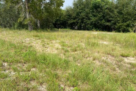 Terreno en venta en Summerfield, Florida № 1338931 - foto 5