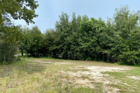 Land in Summerfield, Florida № 1338931 - photo 3