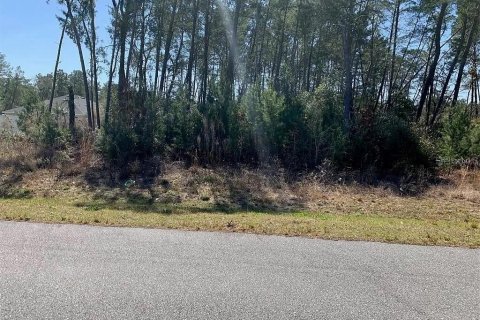 Terreno en venta en Ocala, Florida № 1129596 - foto 1