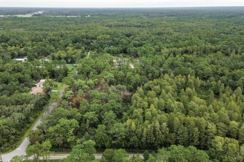 Terreno en venta en Homosassa, Florida № 1356392 - foto 8