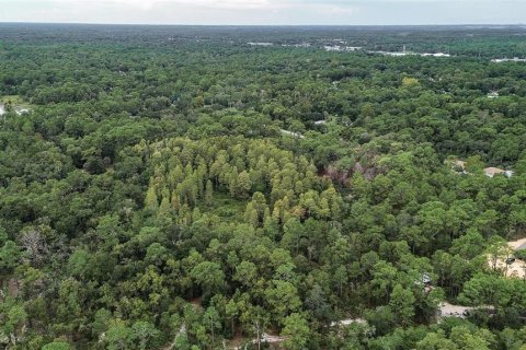 Terreno en venta en Homosassa, Florida № 1356392 - foto 5