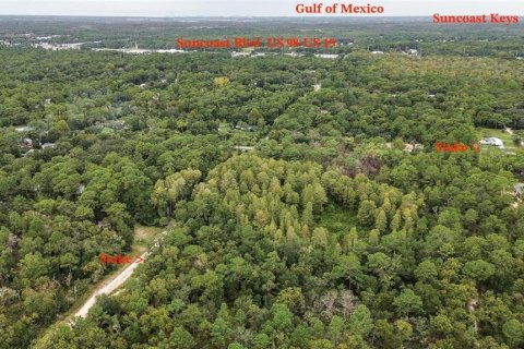 Terreno en venta en Homosassa, Florida № 1356392 - foto 4