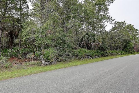 Terreno en venta en Homosassa, Florida № 1356392 - foto 19