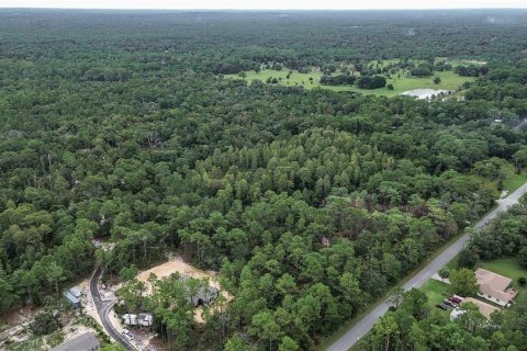 Terreno en venta en Homosassa, Florida № 1356392 - foto 13