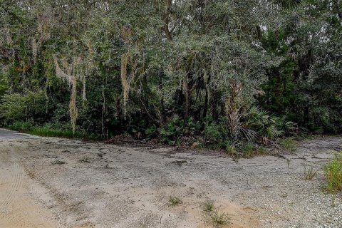 Terreno en venta en Homosassa, Florida № 1356392 - foto 18