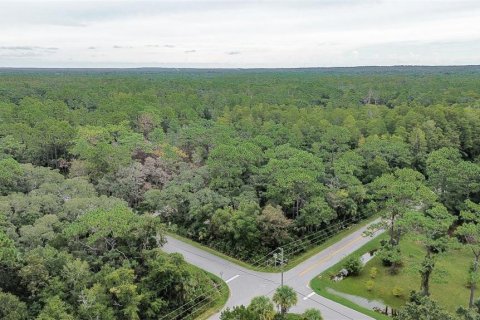 Terreno en venta en Homosassa, Florida № 1356392 - foto 16