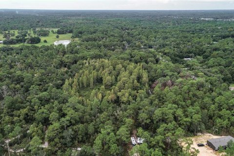 Terreno en venta en Homosassa, Florida № 1356392 - foto 6