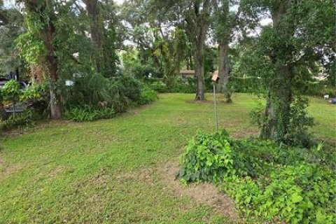 Terreno en venta en Tampa, Florida № 1359523 - foto 3