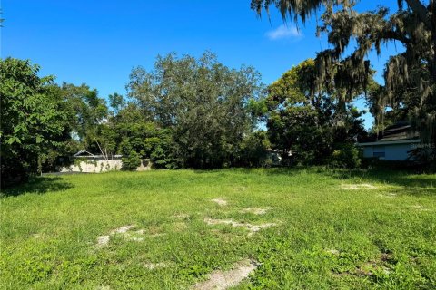 Terreno en venta en Orlando, Florida № 1319864 - foto 3