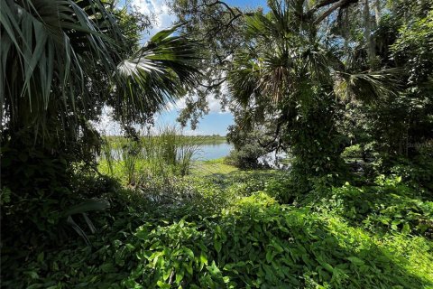 Купить земельный участок в Тампа, Флорида № 1134206 - фото 2