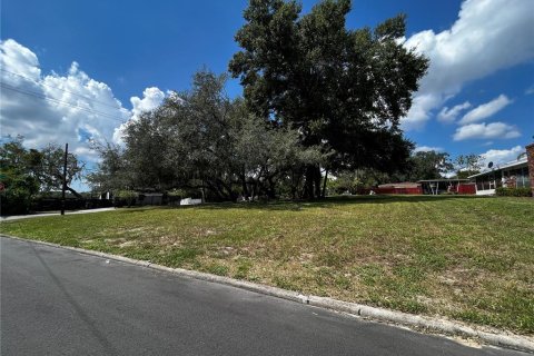 Купить земельный участок в Тампа, Флорида № 1134206 - фото 3