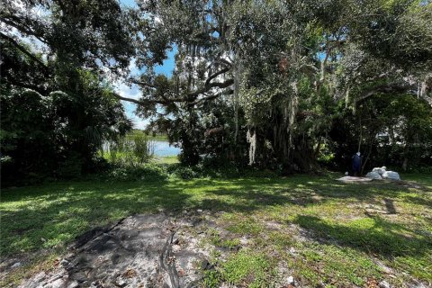 Купить земельный участок в Тампа, Флорида № 1134206 - фото 5
