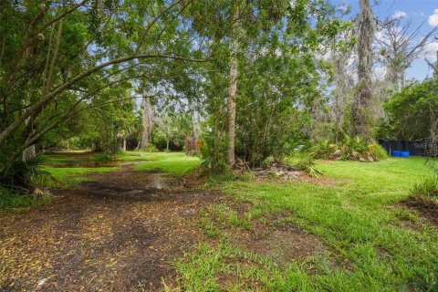 Land in New Port Richey, Florida № 1267934 - photo 26