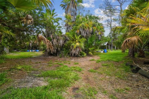 Land in New Port Richey, Florida № 1267934 - photo 30