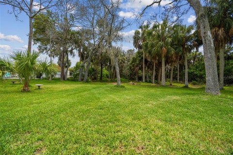 Land in New Port Richey, Florida № 1267934 - photo 22