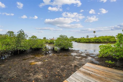 Land in New Port Richey, Florida № 1267934 - photo 27