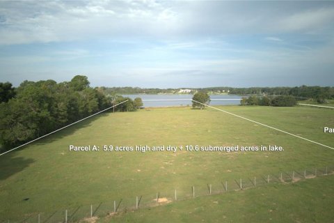 Land in Eustis, Florida № 1352768 - photo 2