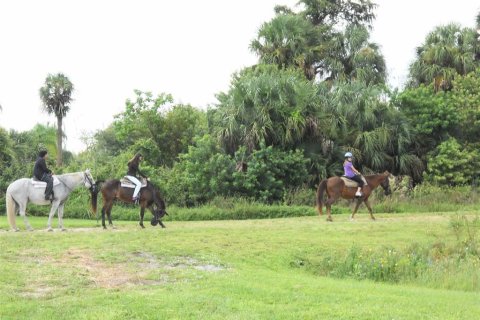 Land in Eustis, Florida № 1352768 - photo 4