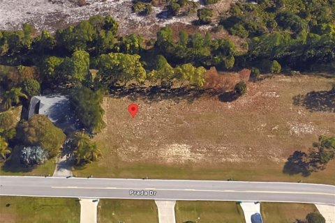 Land in Punta Gorda, Florida № 1111177 - photo 1