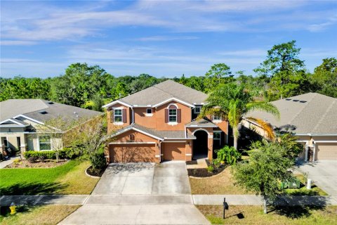 Villa ou maison à vendre à DeLand, Floride: 5 chambres, 361.95 m2 № 1371595 - photo 3