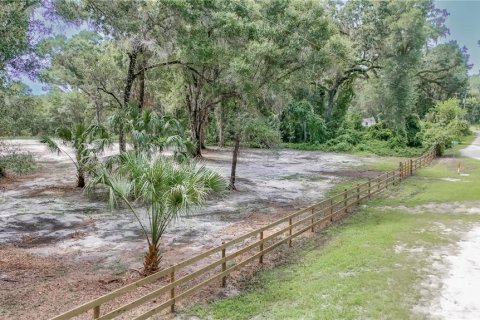 Terreno en venta en Summerfield, Florida № 1296208 - foto 5