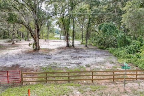 Terreno en venta en Summerfield, Florida № 1296208 - foto 3