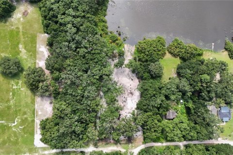 Terreno en venta en Summerfield, Florida № 1296208 - foto 11