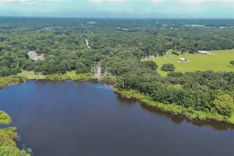 Terreno en venta en Summerfield, Florida № 1296208 - foto 13