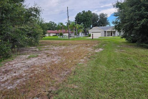 Terreno en venta en Land O' Lakes, Florida № 1344759 - foto 3