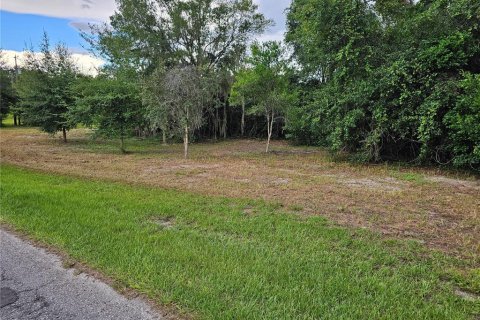 Terreno en venta en Land O' Lakes, Florida № 1344759 - foto 4