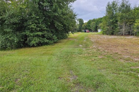 Land in Land O' Lakes, Florida № 1344759 - photo 2