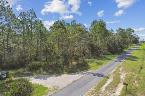 Terreno en venta en Dunnellon, Florida № 1335724 - foto 1