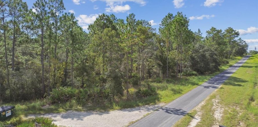 Terrain à Dunnellon, Floride № 1335724