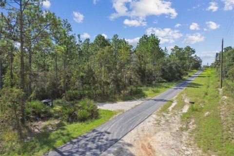 Terreno en venta en Dunnellon, Florida № 1335724 - foto 2