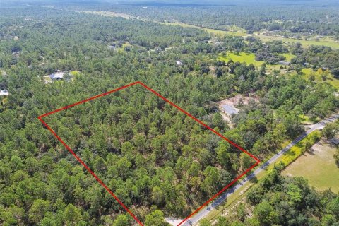 Terreno en venta en Dunnellon, Florida № 1335724 - foto 15