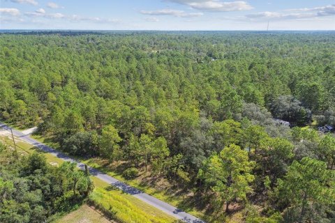 Terrain à vendre à Dunnellon, Floride № 1335724 - photo 4