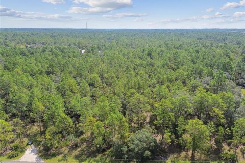 Terrain à vendre à Dunnellon, Floride № 1335724 - photo 6