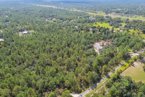 Terrain à vendre à Dunnellon, Floride № 1335724 - photo 7