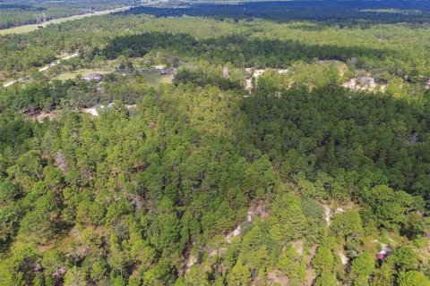 Terreno en venta en Dunnellon, Florida № 1335724 - foto 13