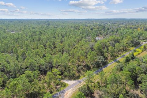 Land in Dunnellon, Florida № 1335724 - photo 5