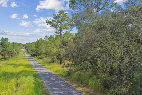 Land in Dunnellon, Florida № 1335724 - photo 3