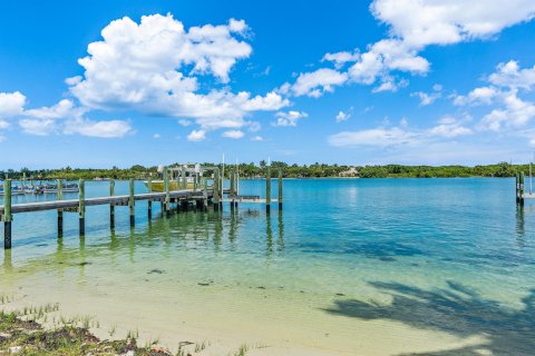 Land in Jupiter, Florida № 994251 - photo 15