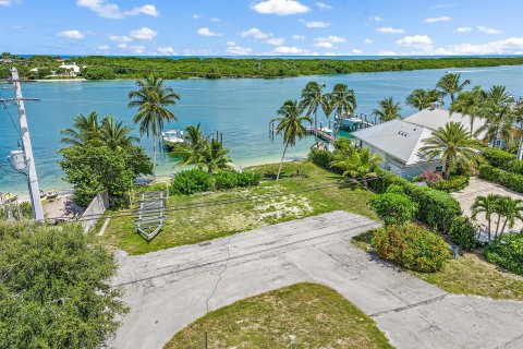 Land in Jupiter, Florida № 994251 - photo 10