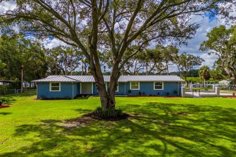 Villa ou maison à vendre à Riverview, Floride: 2 chambres, 156.82 m2 № 1342129 - photo 1