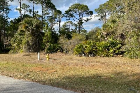 Terrain à vendre à Punta Gorda, Floride № 312978 - photo 3