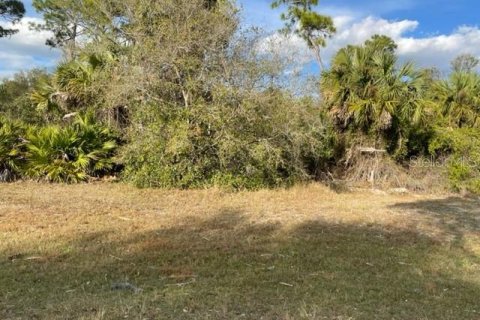 Terrain à vendre à Punta Gorda, Floride № 312978 - photo 2